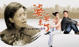 婆婆来了电视剧完整版,婆媳关系大揭秘，家庭矛盾升级引热议