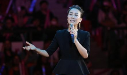 那英电视剧,影视歌坛三栖明星的璀璨人生