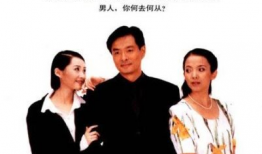 来来往往电视剧,都市情感纠葛的悲欢离合